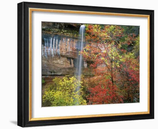 Waterfall with Fall Foliage, Emerald Pools, Zion Canyon, Zion National Park, Utah, Usa-Scott T. Smith-Framed Photographic Print