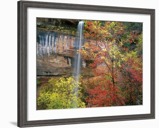 Waterfall with Fall Foliage, Emerald Pools, Zion Canyon, Zion National Park, Utah, Usa-Scott T. Smith-Framed Photographic Print