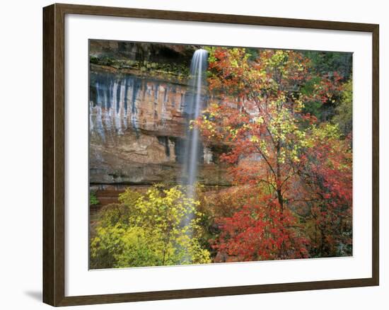 Waterfall with Fall Foliage, Emerald Pools, Zion Canyon, Zion National Park, Utah, Usa-Scott T. Smith-Framed Photographic Print