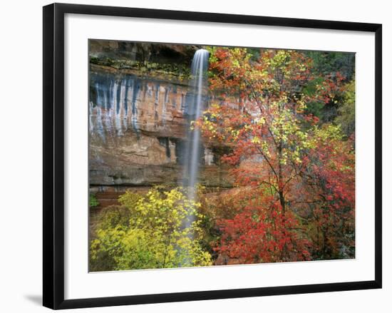 Waterfall with Fall Foliage, Emerald Pools, Zion Canyon, Zion National Park, Utah, Usa-Scott T. Smith-Framed Photographic Print