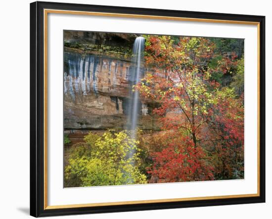 Waterfall with Fall Foliage, Emerald Pools, Zion Canyon, Zion National Park, Utah, Usa-Scott T. Smith-Framed Photographic Print