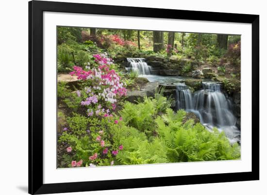 Waterfall with Ferns and Azaleas at Azalea Path Arboretum and Botanical Gardens, Hazleton, Indiana-Richard and Susan Day-Framed Photographic Print