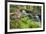 Waterfall with Ferns and Azaleas at Azalea Path Arboretum and Botanical Gardens, Hazleton, Indiana-Richard and Susan Day-Framed Photographic Print