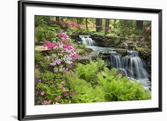 Waterfall with Ferns and Azaleas at Azalea Path Arboretum and Botanical Gardens, Hazleton, Indiana-Richard and Susan Day-Framed Photographic Print