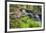 Waterfall with Ferns and Azaleas at Azalea Path Arboretum and Botanical Gardens, Hazleton, Indiana-Richard and Susan Day-Framed Photographic Print