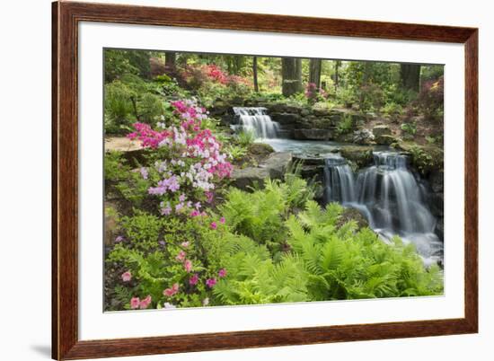 Waterfall with Ferns and Azaleas at Azalea Path Arboretum and Botanical Gardens, Hazleton, Indiana-Richard and Susan Day-Framed Photographic Print
