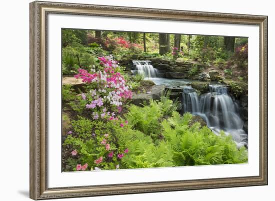 Waterfall with Ferns and Azaleas at Azalea Path Arboretum and Botanical Gardens, Hazleton, Indiana-Richard and Susan Day-Framed Photographic Print