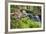 Waterfall with Ferns and Azaleas at Azalea Path Arboretum and Botanical Gardens, Hazleton, Indiana-Richard and Susan Day-Framed Photographic Print