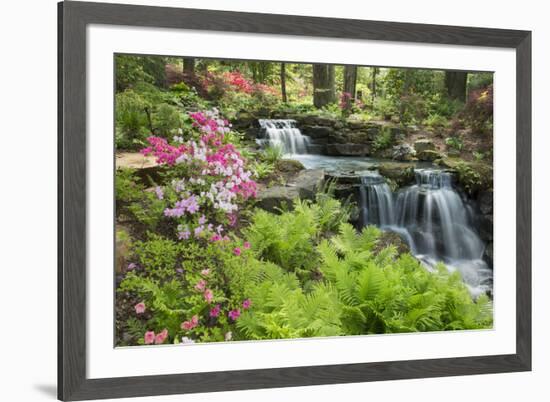 Waterfall with Ferns and Azaleas at Azalea Path Arboretum and Botanical Gardens, Hazleton, Indiana-Richard and Susan Day-Framed Photographic Print