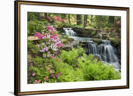 Waterfall with Ferns and Azaleas at Azalea Path Arboretum and Botanical Gardens, Hazleton, Indiana-Richard and Susan Day-Framed Photographic Print