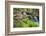 Waterfall with Ferns and Azaleas at Azalea Path Arboretum and Botanical Gardens, Hazleton, Indiana-Richard and Susan Day-Framed Photographic Print