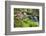 Waterfall with Ferns and Azaleas at Azalea Path Arboretum and Botanical Gardens, Hazleton, Indiana-Richard and Susan Day-Framed Photographic Print