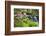 Waterfall with Ferns and Azaleas at Azalea Path Arboretum and Botanical Gardens, Hazleton, Indiana-Richard and Susan Day-Framed Photographic Print