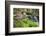 Waterfall with Ferns and Azaleas at Azalea Path Arboretum and Botanical Gardens, Hazleton, Indiana-Richard and Susan Day-Framed Photographic Print