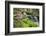 Waterfall with Ferns and Azaleas at Azalea Path Arboretum and Botanical Gardens, Hazleton, Indiana-Richard and Susan Day-Framed Photographic Print