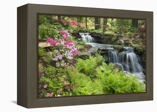 Waterfall with Ferns and Azaleas at Azalea Path Arboretum and Botanical Gardens, Hazleton, Indiana-Richard and Susan Day-Framed Premier Image Canvas