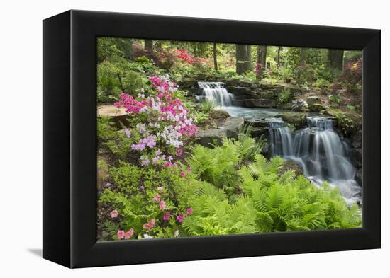 Waterfall with Ferns and Azaleas at Azalea Path Arboretum and Botanical Gardens, Hazleton, Indiana-Richard and Susan Day-Framed Premier Image Canvas