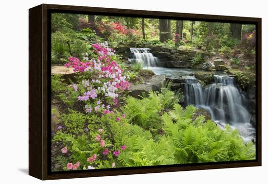 Waterfall with Ferns and Azaleas at Azalea Path Arboretum and Botanical Gardens, Hazleton, Indiana-Richard and Susan Day-Framed Premier Image Canvas