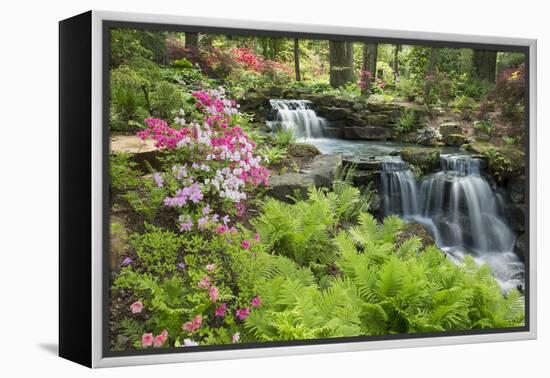 Waterfall with Ferns and Azaleas at Azalea Path Arboretum and Botanical Gardens, Hazleton, Indiana-Richard and Susan Day-Framed Premier Image Canvas