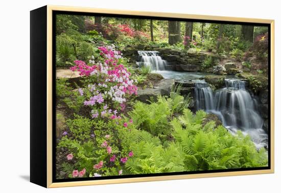 Waterfall with Ferns and Azaleas at Azalea Path Arboretum and Botanical Gardens, Hazleton, Indiana-Richard and Susan Day-Framed Premier Image Canvas