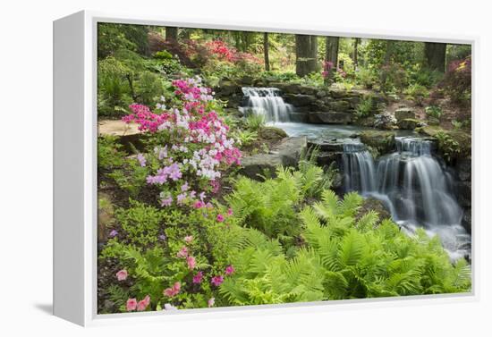 Waterfall with Ferns and Azaleas at Azalea Path Arboretum and Botanical Gardens, Hazleton, Indiana-Richard and Susan Day-Framed Premier Image Canvas