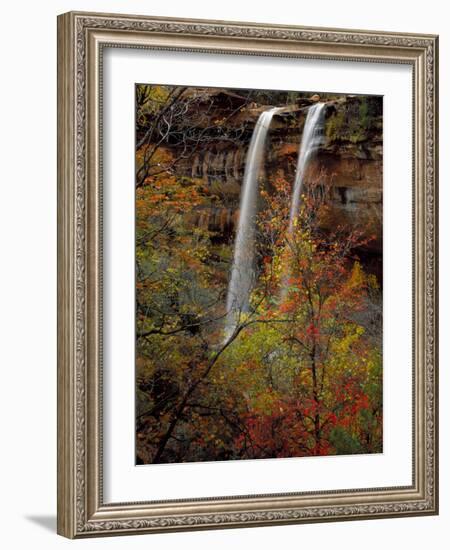 Waterfall, Zion National Park, Utah, USA-Scott T. Smith-Framed Photographic Print