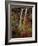 Waterfall, Zion National Park, Utah, USA-Scott T. Smith-Framed Photographic Print