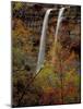 Waterfall, Zion National Park, Utah, USA-Scott T. Smith-Mounted Photographic Print