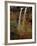 Waterfall, Zion National Park, Utah, USA-Scott T. Smith-Framed Photographic Print