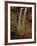 Waterfall, Zion National Park, Utah, USA-Scott T. Smith-Framed Photographic Print