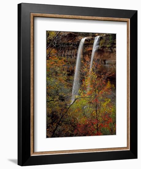 Waterfall, Zion National Park, Utah, USA-Scott T. Smith-Framed Photographic Print