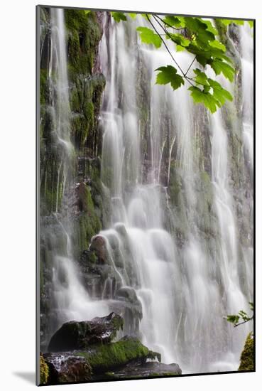 Waterfall-Mark Sunderland-Mounted Photographic Print