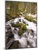 Waterfall-Darrell Gulin-Mounted Photographic Print