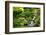 Waterfall-sipaphoto-Framed Photographic Print