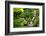 Waterfall-sipaphoto-Framed Photographic Print