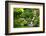 Waterfall-sipaphoto-Framed Photographic Print