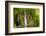 Waterfall-SJ Travel Photo and Video-Framed Photographic Print