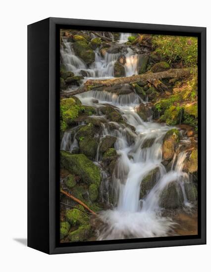 Waterfall-Dan Sproul-Framed Stretched Canvas