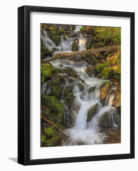 Waterfall-Dan Sproul-Framed Photo