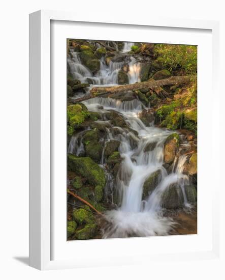 Waterfall-Dan Sproul-Framed Photo