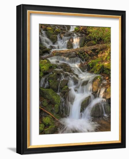 Waterfall-Dan Sproul-Framed Photo