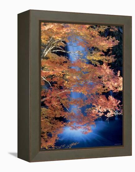 Waterfalls and Autumn Leaves-null-Framed Premier Image Canvas