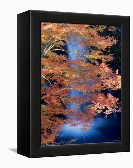 Waterfalls and Autumn Leaves-null-Framed Premier Image Canvas