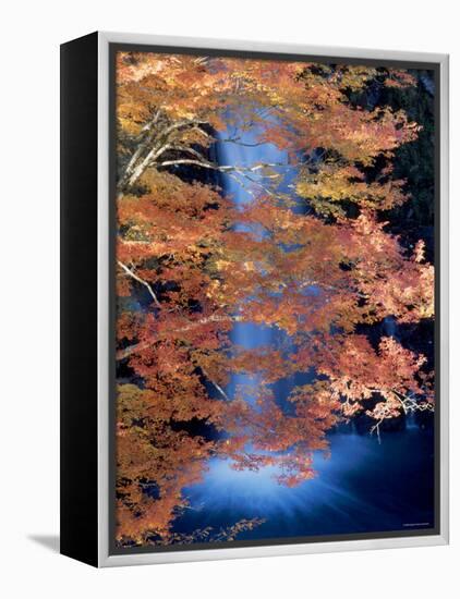 Waterfalls and Autumn Leaves-null-Framed Premier Image Canvas