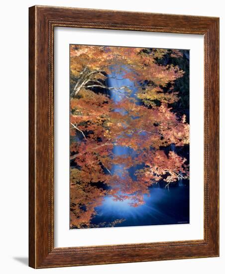 Waterfalls and Autumn Leaves-null-Framed Photographic Print