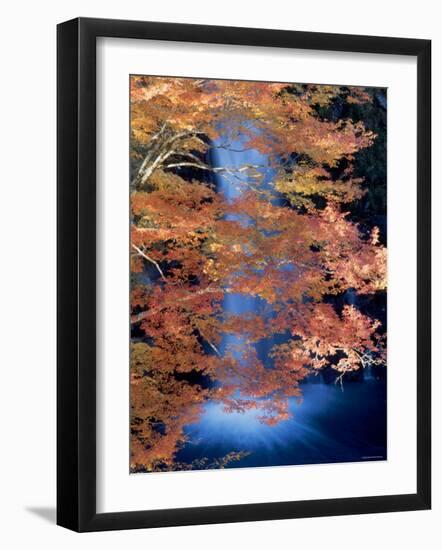 Waterfalls and Autumn Leaves-null-Framed Photographic Print