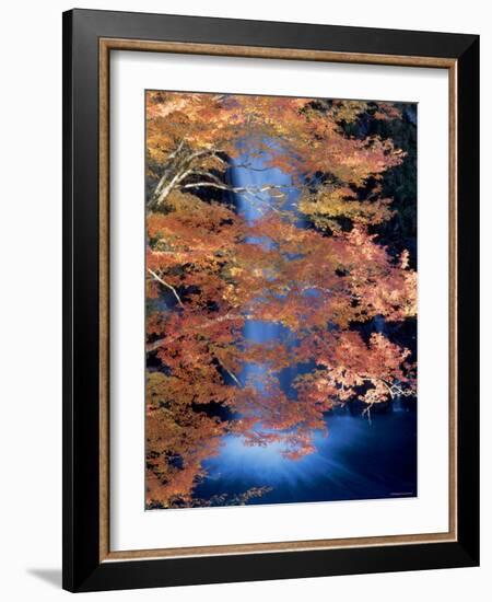 Waterfalls and Autumn Leaves-null-Framed Photographic Print