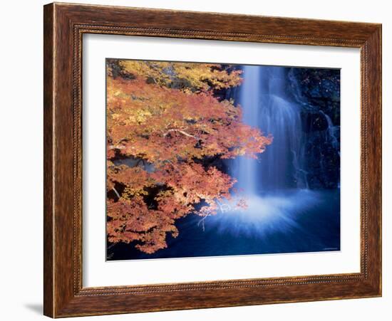 Waterfalls and Autumn Leaves-null-Framed Photographic Print