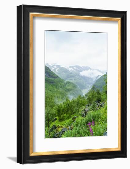 Waterfalls and Mountain Valleys Viewed from Vatnahalsen, Norway-Amanda Hall-Framed Photographic Print