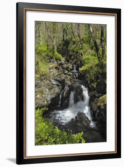 Waterfalls at Wood of Cree, Near Newton Stewart, Dumfries and Galloway, Scotland, United Kingdom-Gary Cook-Framed Photographic Print